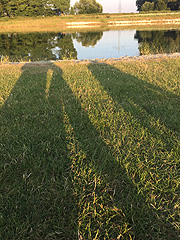 Lorenzisee - ein Teil ist auch ein Badesee... (©Foto: Martin Schmitz)